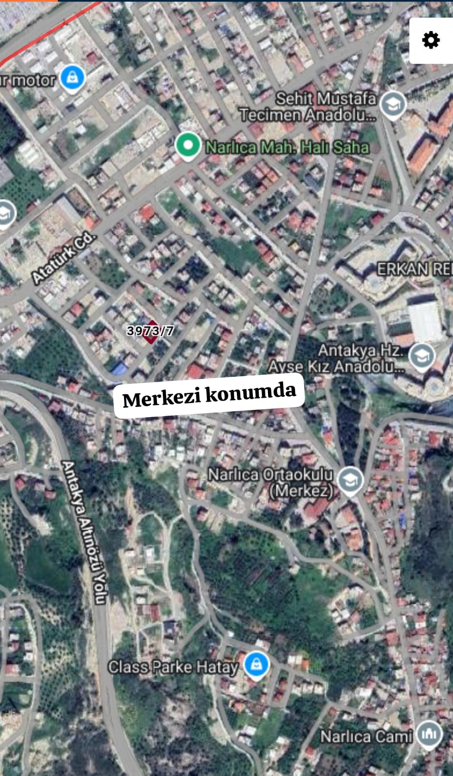Fotoğraf